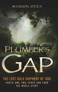 Cover image for Plumber's Gap