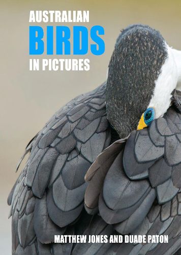 Cover image for Australian Birds in Pictures