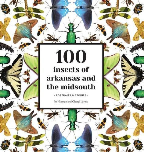 Cover image for 100 Insects of Arkansas and the Midsouth: Portraits & Stories