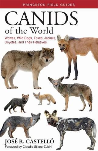 Cover image for Canids of the World: Wolves, Wild Dogs, Foxes, Jackals, Coyotes, and Their Relatives