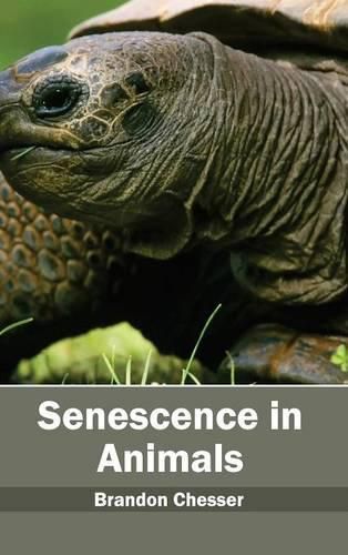 Cover image for Senescence in Animals