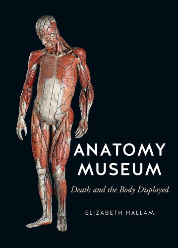 Cover image for Anatomy Museum: Death and the Body Displayed