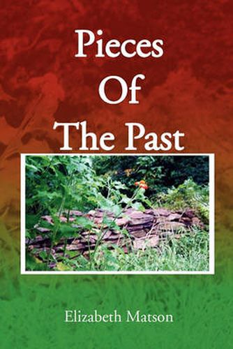 Cover image for Pieces of the Past