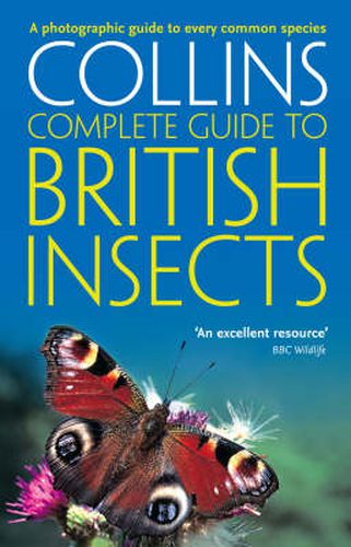 British Insects: A Photographic Guide to Every Common Species