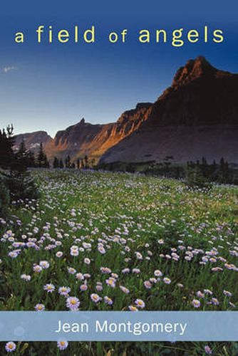 Cover image for A Field of Angels