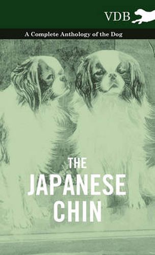Cover image for The Japanese Chin - A Complete Anthology of the Dog