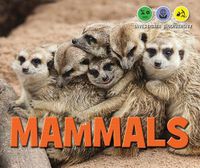 Cover image for Mammals