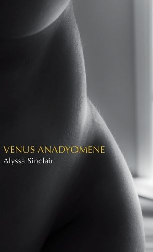 Cover image for Venus Anadyomene