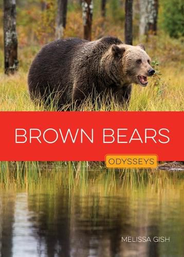 Cover image for Brown Bears