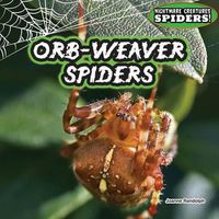 Cover image for Orb-Weaver Spiders