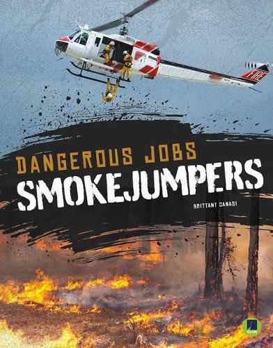 Cover image for Smokejumpers