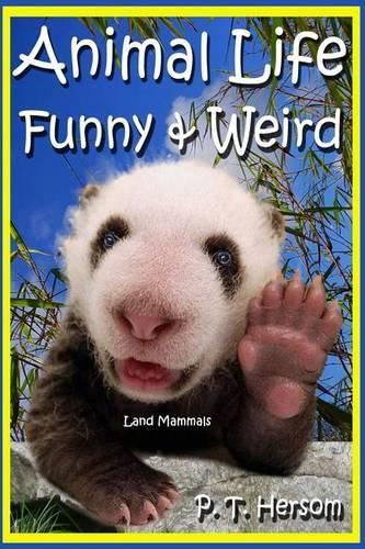 Cover image for Animal Life Funny & Weird Land Mammals: Learn with Amazing Photos and Fun Facts About Animals and Land Mammals