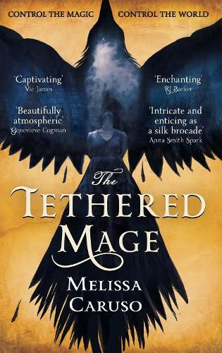 Cover image for The Tethered Mage