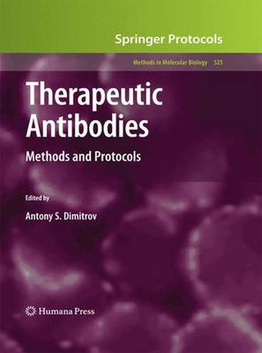 Cover image for Therapeutic Antibodies: Methods and Protocols