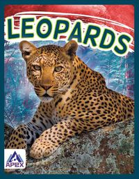 Cover image for Wild Cats: Leopards