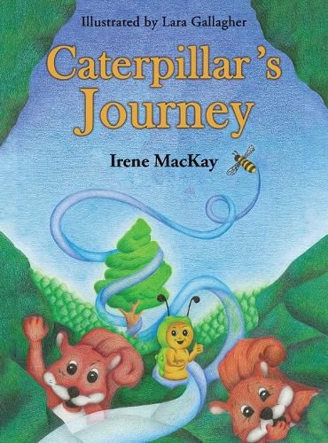 Cover image for Caterpillar's Journey