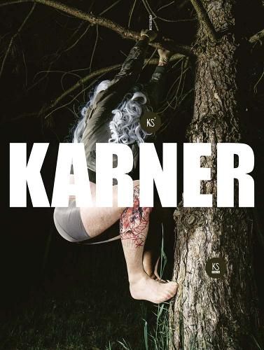 Cover image for Karl Karner