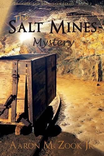 Cover image for The Salt Mines Mystery