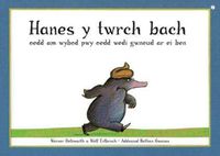 Cover image for Hanes y Twrch Bach oedd am Wybod Pwy oedd Wedi Gwneud ar ei Ben