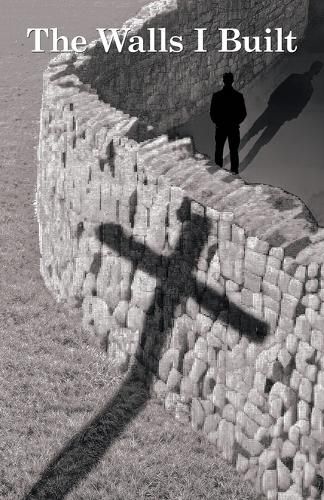 Cover image for The Walls I Built