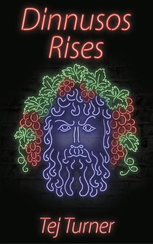 Cover image for Dinnusos Rises