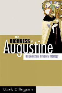 Cover image for The Richness of Augustine: His Contextual and Pastoral Theology