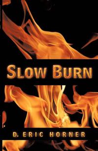 Cover image for Slow Burn