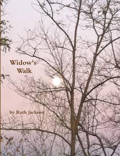 Cover image for Widow's Walk