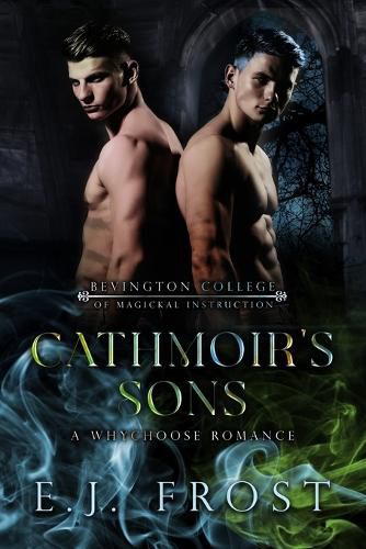 Cover image for Cathmoir's Sons