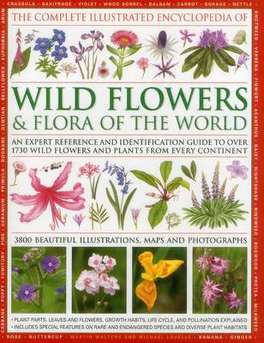 Cover image for Complete Illustrated Encyclopedia of Wild Flowers & Flora of the World