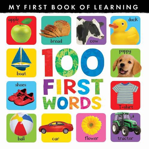 Cover image for 100 First Words