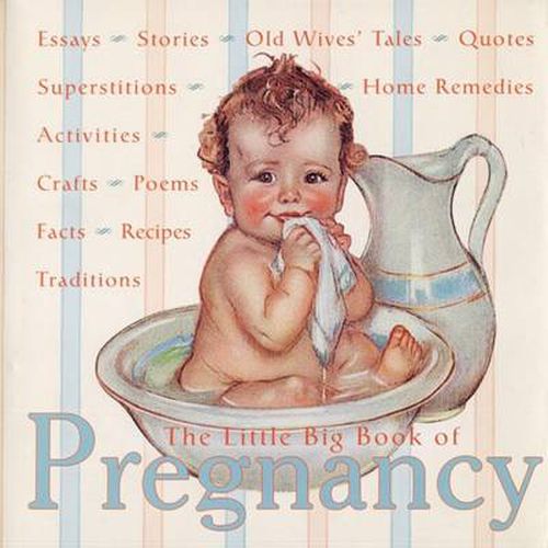 Cover image for The Little Big Book of Pregnancy