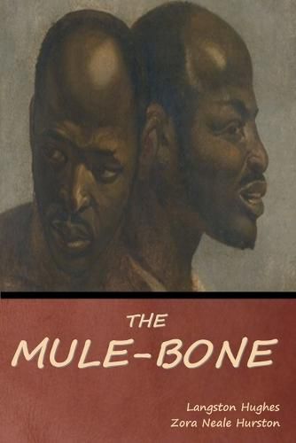 Cover image for The Mule-Bone