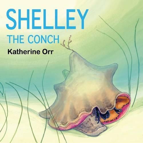 Cover image for Shelley the Conch