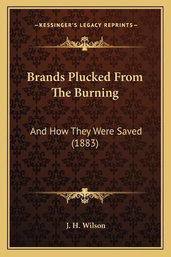 Cover image for Brands Plucked from the Burning: And How They Were Saved (1883)