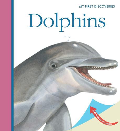 Cover image for Dolphins