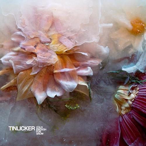 Cover image for Cold Enough For Snow