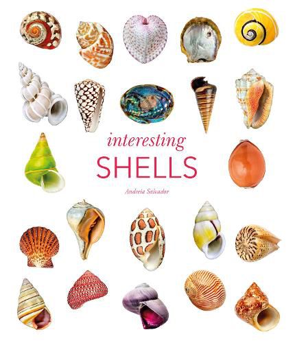 Cover image for Interesting Shells