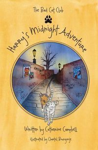 Cover image for Harry's Midnight Adventure