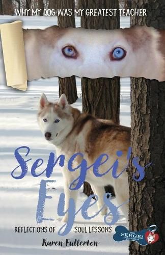 Cover image for Sergei's Eyes: Reflections of Soul Lessons