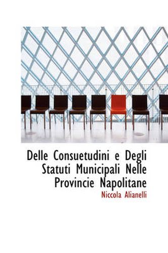 Cover image for Delle Consuetudini E Degli Statuti Municipali Nelle Provincie Napolitane