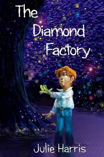 Cover image for The Diamond Factory