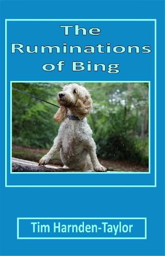 Cover image for The Ruminations of Bing: Lines From My Forehead