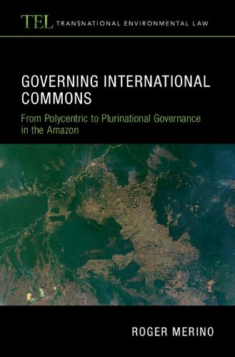 Cover image for Governing International Commons