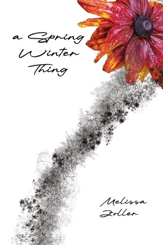 Cover image for A Spring Winter Thing