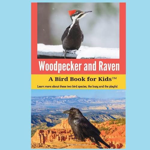 Cover image for Woodpecker and Raven: A Bird Book for Kids