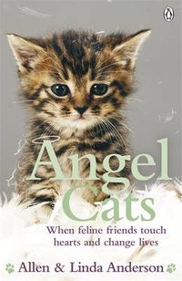 Cover image for Angel Cats: When feline friends touch hearts and change lives