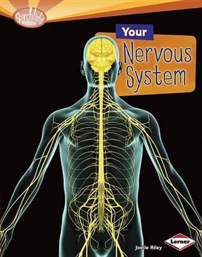 Cover image for Your Nervous System