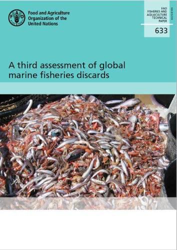 Cover image for A third assessment of global marine fisheries discards