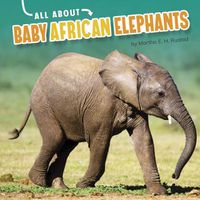 Cover image for All about Baby African Elephants